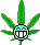 Icon Weed